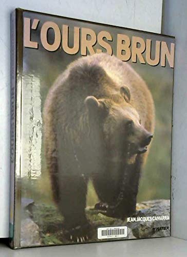 L'Ours brun