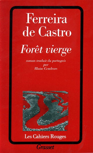 Forêt vierge
