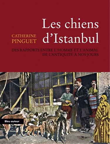 Les chiens d'Istanbul : des rapports entre l'homme et l'animal de l'Antiquité à nos jours