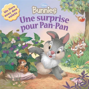 Une surprise pour Pan-Pan
