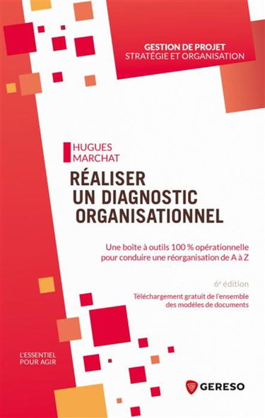 Réaliser un diagnostic organisationnel : une boîte à outils 100 % opérationnelle pour conduire une réorganisation de A à Z