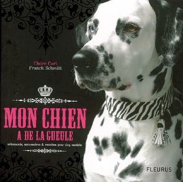 Mon chien a de la gueule : vêtements, accessoires & recettes pour dog models