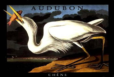 Couverture de John James Audubon