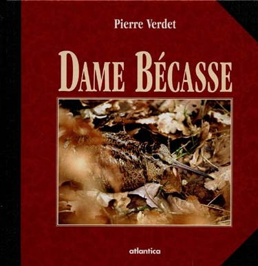 Dame Bécasse
