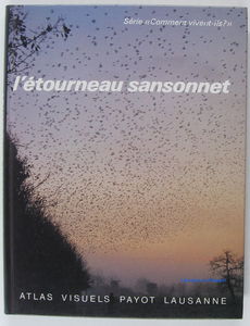 Etourneau Sansonnet N16