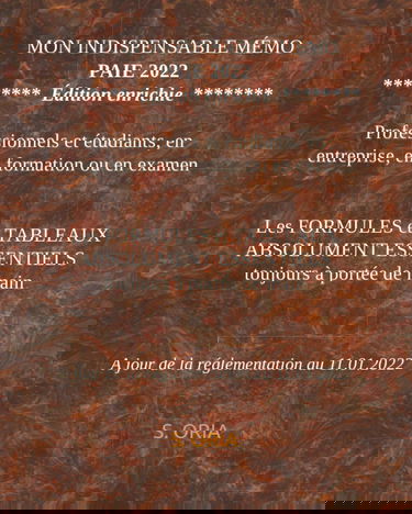 MON INDISPENSABLE MÉMO PAIE 2022: LES FORMULES ET TABLEAUX ESSENTIELS TOUJOURS A PORTÉE DE MAIN