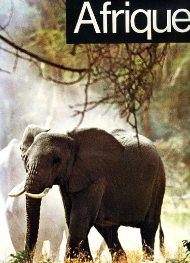 Afrique.