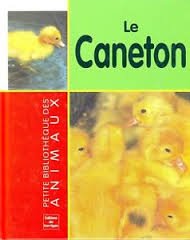 Le caneton (Les animaux)