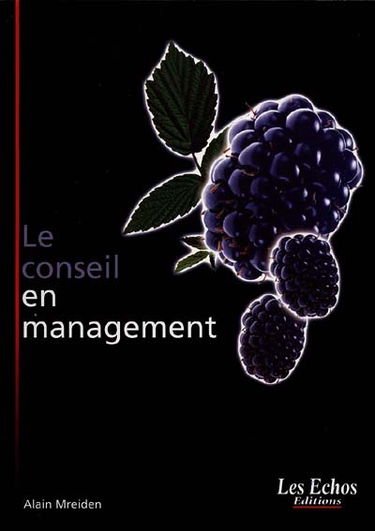 Le conseil en management