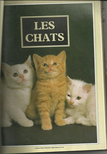 Les Chats