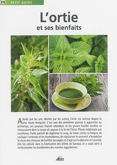 L'ortie et ses bienfaits