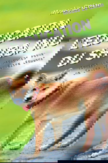 L'EDUCATION DU SHIBA INU: Toutes les astuces pour un Shiba Inu bien éduqué