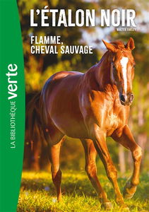 L'étalon noir. Vol. 10. Flamme, cheval sauvage