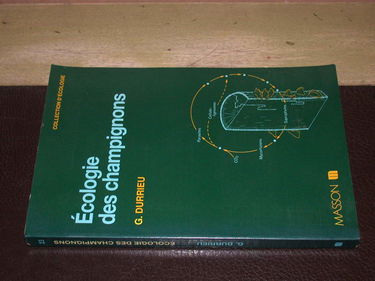 Ecologie des champignons