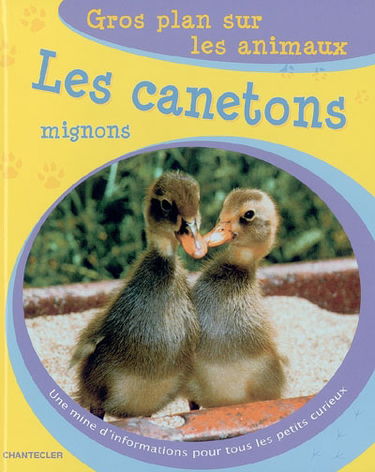 Les canetons mignons