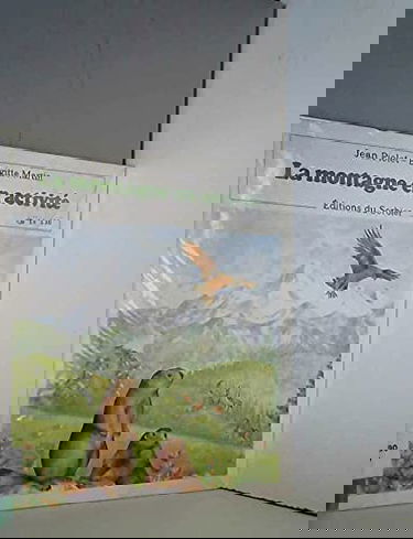 La Montagne en activité