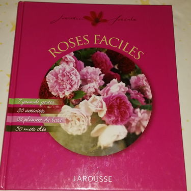 Roses faciles