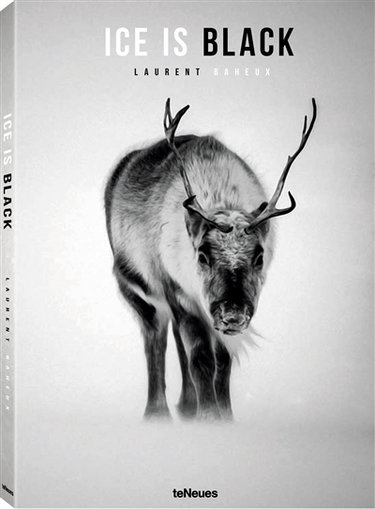 Couverture de Ice is black