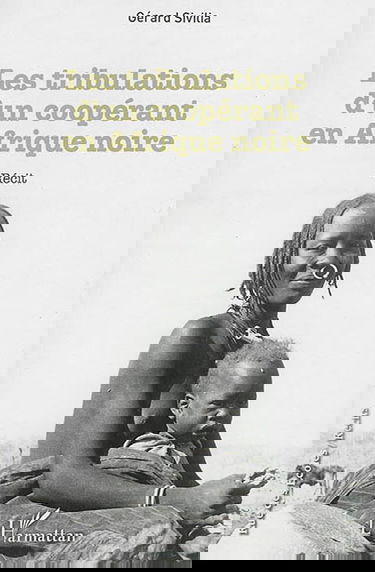 Les tribulations d'un coopérant en Afrique noire : récit