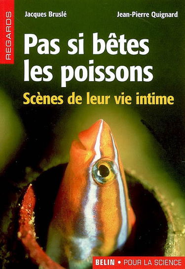 Pas si bêtes les poissons : scènes de leur vie intime