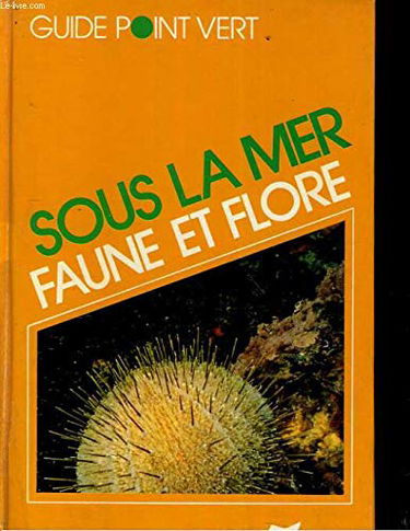 Sous la mer : faune et flore