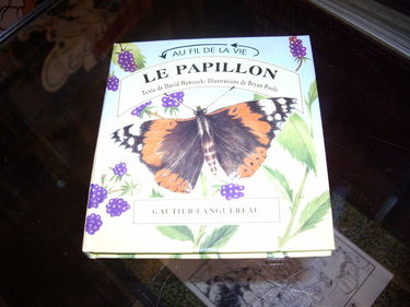 Le papillon