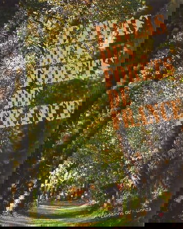 L'atlas des forêts de France