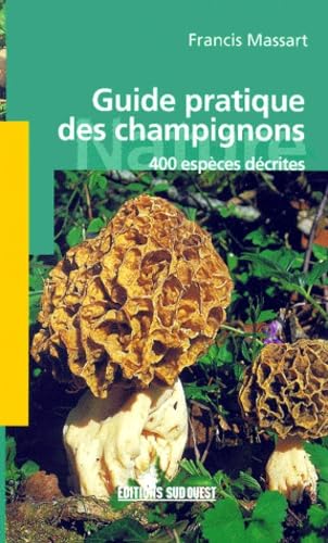 Aed Guide Pratique Des Champignons
