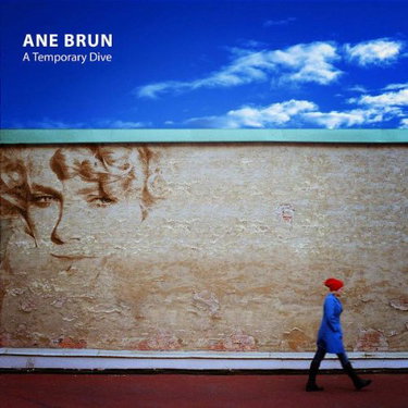Couverture de A Temporary Dive [Import]