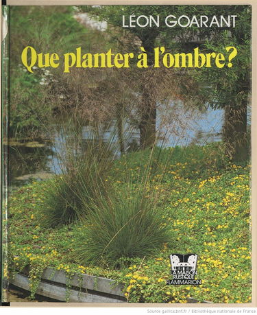 Que planter à l'ombre ?