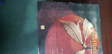 La route de l'ambre : l'or de la Baltique