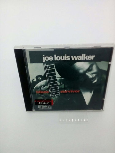 Couverture de Blues Survivor