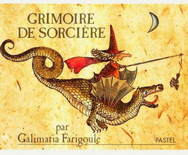 Grimoire de sorcière : recettes, usages et histoires secrètes