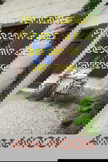 Un véritable Prince n'a pas besoin de carrosse