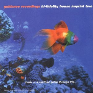 Couverture de Hi Fidelity House Vol II