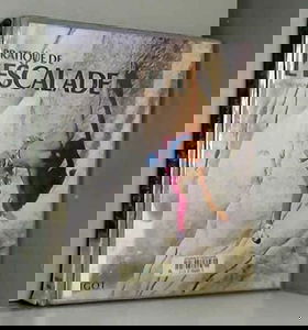 Pratique de l'escalade