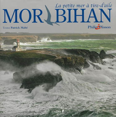 Morbihan : la petite mer à tire-d'aile