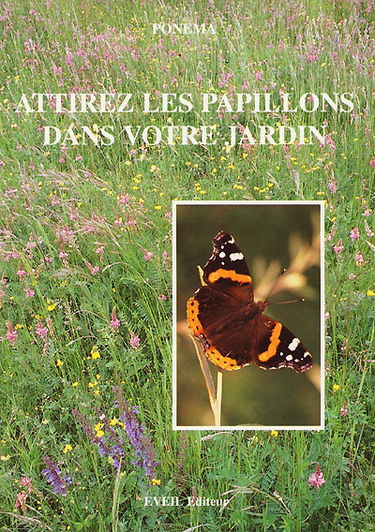 Attirez les papillons en grand nombre dans votre jardin