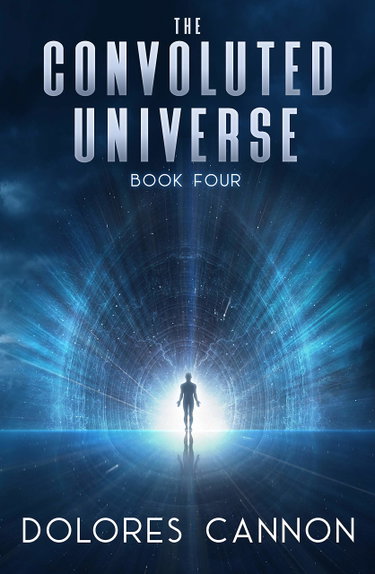 Couverture de The Convoluted Universe