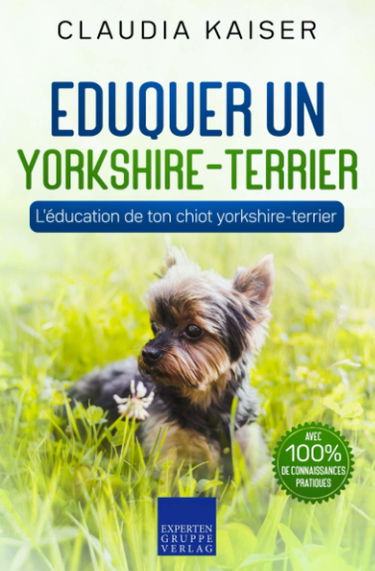 Eduquer un yorkshire-terrier: L'éducation de ton chiot yorkshire-terrier
