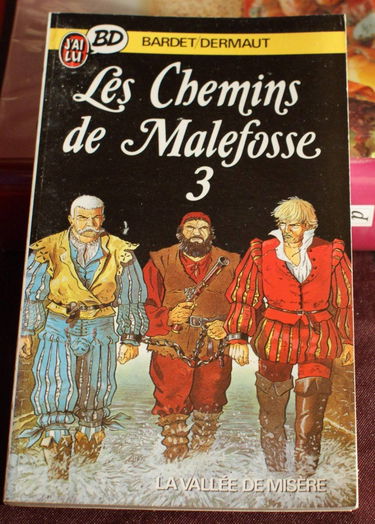 Les chemins de Malefosse. Vol. 3. La vallée de la misère