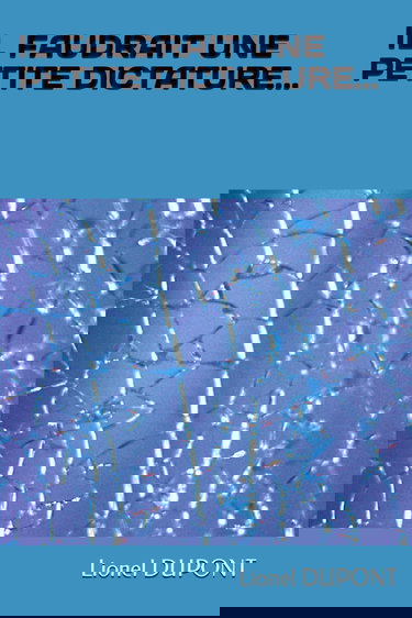 IL FAUDRAIT UNE PETITE DICTATURE...