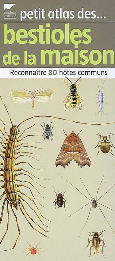 Petit atlas des bestioles de la maison : reconnaître 80 hôtes communs