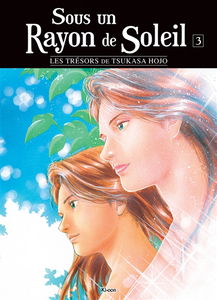 Sous un rayon de soleil. Vol. 3