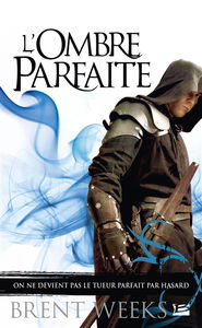 L'ombre parfaite : et autres bonus dans l'univers de L'ange de la nuit