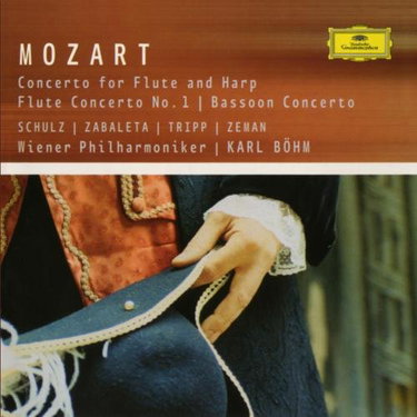 Couverture de Conc. X Flauto, Arpa E Orc [Import]