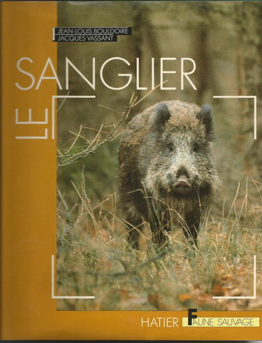 Le sanglier