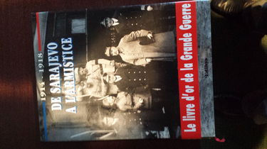 Guerre 1914-1918, de Sarajevo à la nouvelle Europe