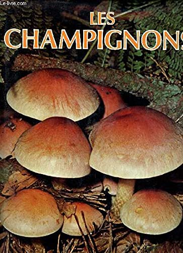 Champignons