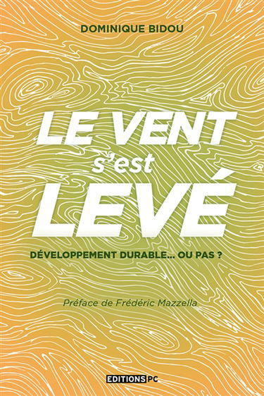 Le vent s'est levé : développement durable... ou pas ?